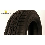 Dunlop SP Winter Sport 3D 255/55 R18 105H обзоры