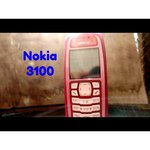 Nokia 3100