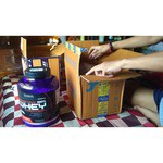 Scitec Nutrition 100% Whey Protein (900-920 г)