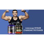 Ultimate Nutrition Prostar 100% Whey Protein (454 г)
