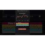 Пульсометр Polar H10