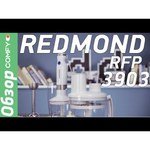 REDMOND RFP-3902