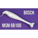 Bosch MSM 6B100