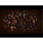 Saeco Exprelia Black