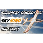 Самолет WL Toys Sky King (F959) 57 см