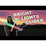 Самолет WL Toys Sky King (F959) 57 см