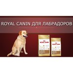 Royal Canin Labrador Retriever Adult (3 кг)