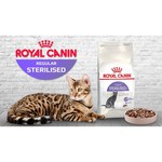 Royal Canin Sterilised 37 (4 кг)