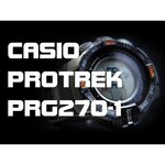 CASIO PRG-270-4E