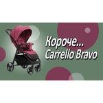 Прогулочная коляска Tilly Carrello Bravo CRL-1404