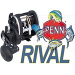 Penn Rival 30 LW LC