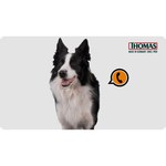 Thomas DryBox Amfibia