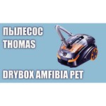 Thomas DryBox Amfibia