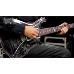 PRS SE Custom 24 обзоры