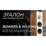 Bowers & Wilkins DM 603