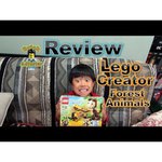 LEGO Creator 31019 Забавные животные