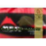 MSR Hubba NX