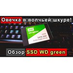 Western Digital WD GREEN PC SSD 120 GB (WDS120G2G0A)