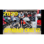 UppaBaby Cruz (прогулочная)