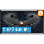 JBL Soundgear BTA