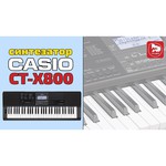 CASIO CT-X800