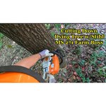 Stihl MS 291