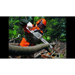 Stihl MS 260