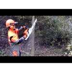 Stihl MS 260