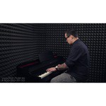 Цифровое пианино CASIO AP-470