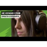 Компьютерная гарнитура SteelSeries Arctis Pro USB