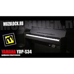 Цифровое пианино YAMAHA YDP-S34