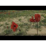 Видеокамера Panasonic HC-VXF1