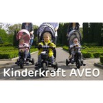 Трехколесный велосипед Kinderkraft Aveo