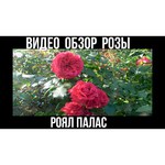 Excellent palace 180x80