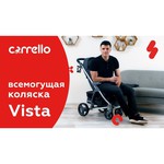 Прогулочная коляска CARRELLO Vista CRL-8505