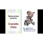Прогулочная коляска CARRELLO Vista CRL-8505