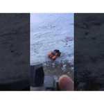 Внедорожник Remo Hobby RM1621 1:16 28.5 см