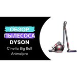 Пылесос Dyson Big Ball Multifloor+ обзоры