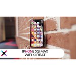 Смартфон Apple iPhone Xs 64GB