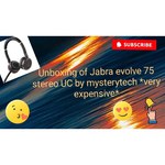 Компьютерная гарнитура Jabra Evolve 75+ MS Stereo