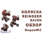 Универсальная коляска Reindeer Raven (2 в 1)