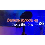 Портативный рекордер Zoom H4n Pro