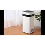 Очиститель воздуха Xiaomi KJ300F-X3 (M)