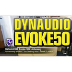 Акустическая система Dynaudio Evoke 50