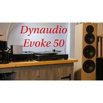 Акустическая система Dynaudio Evoke 50