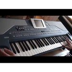 KORG Pa800 обзоры