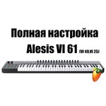 Alesis VI61