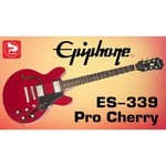 Epiphone ES-339 PRO