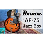 Ibanez AF75