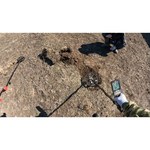 Металлоискатель Minelab Equinox 800